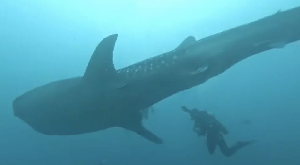 bd0a18b8-7630-45c0-a967-3450baae3127