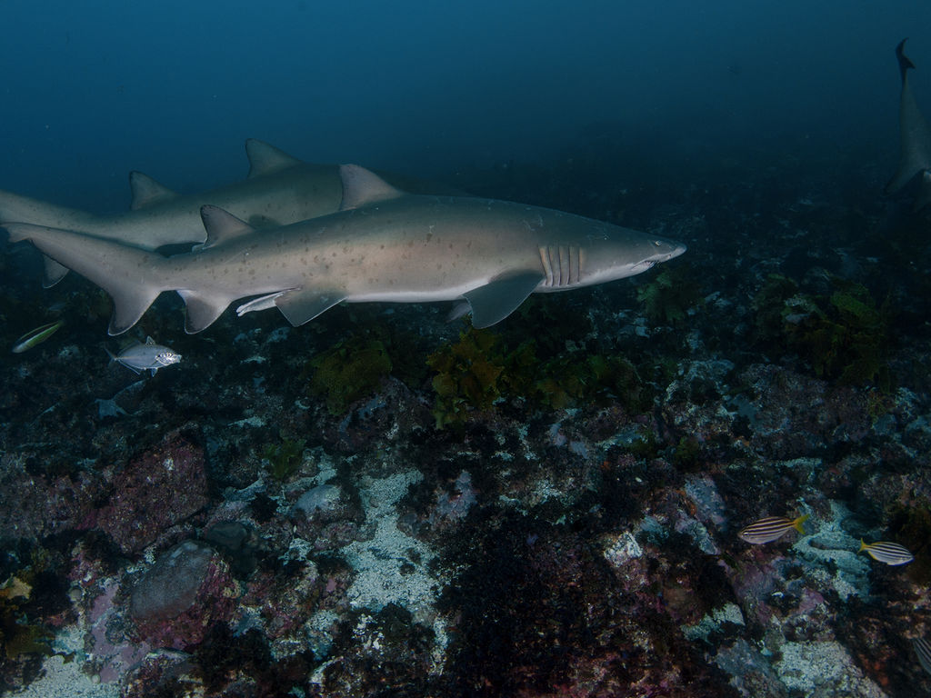 b11f4a86-aa7a-41dd-b275-df53857da2f1