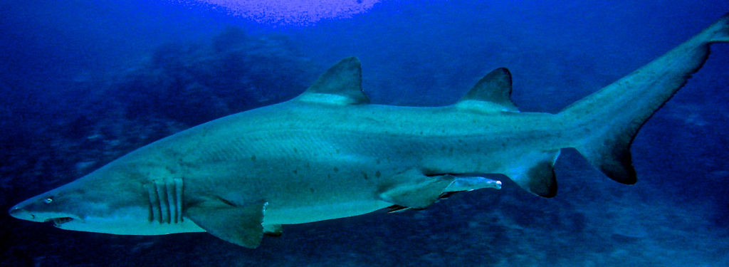 db210ac2-ea29-4469-aa6a-428186d4fcc1