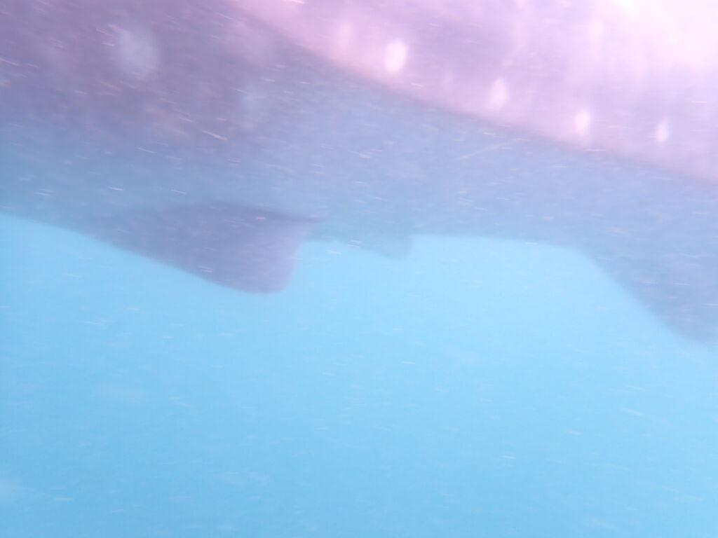 36931aba-5e75-45d2-b16c-4bc42ec0df67