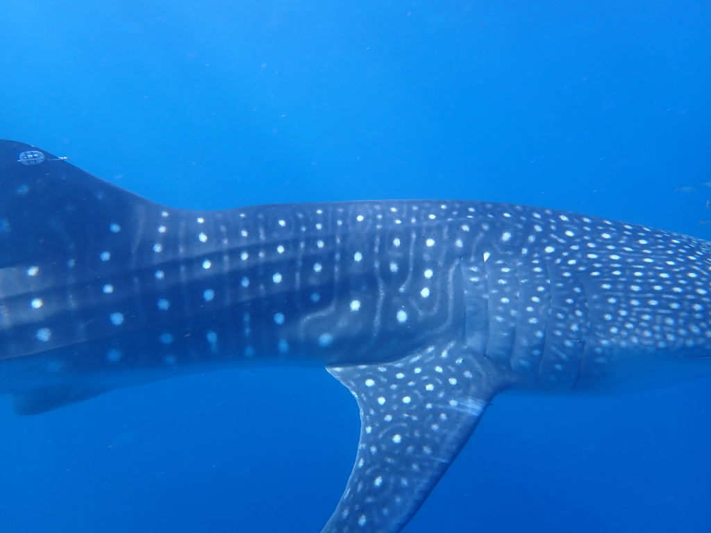 3220dd36-7525-4c4b-90aa-b4bc569fe1bb