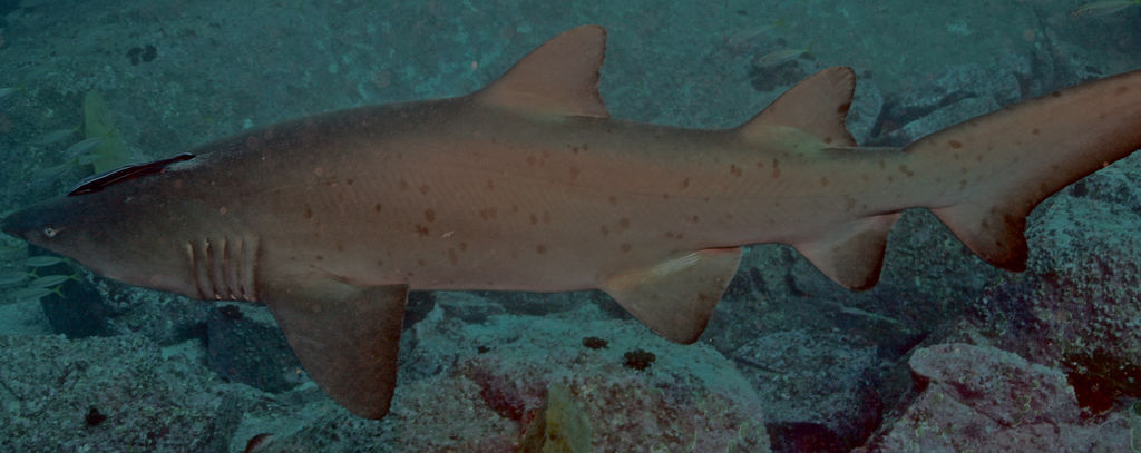 09eb9b7c-b074-462a-a517-b653b5293c8e