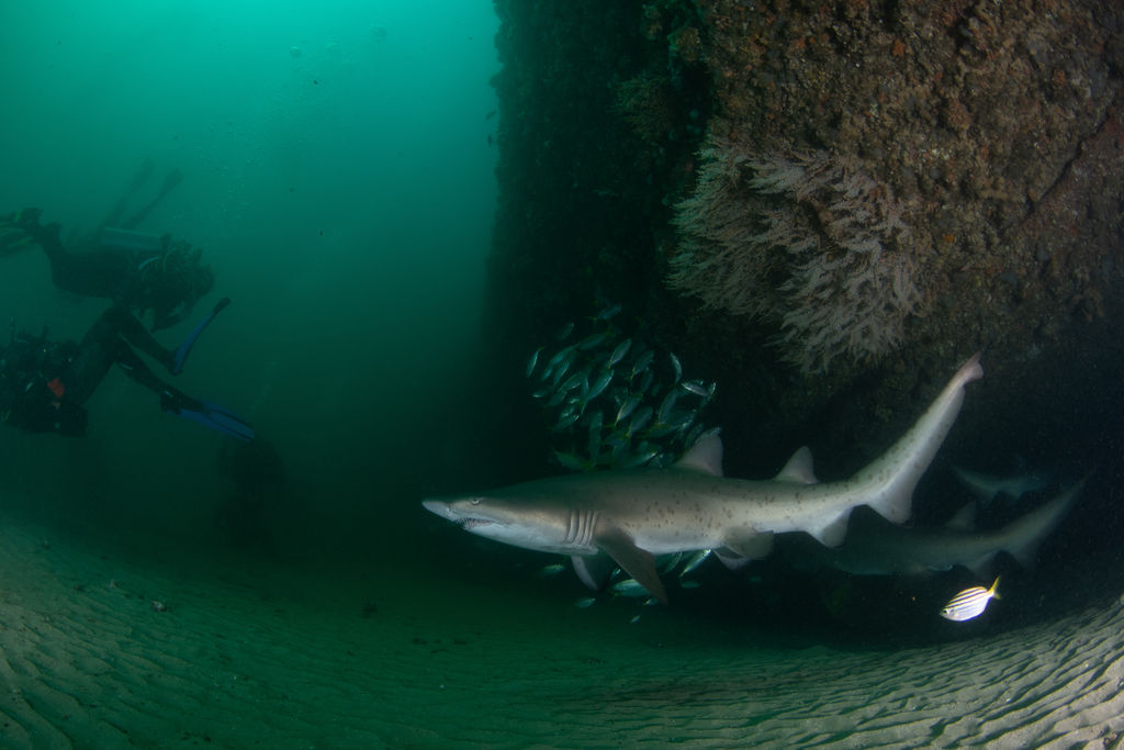 00f35fac-858f-4621-9f60-14c90b62ec8e