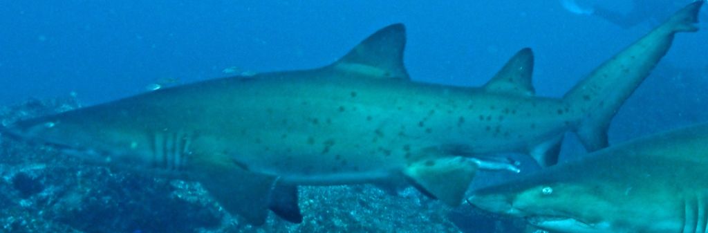 3f7d869e-7dfa-462d-8d77-a473cf758a16