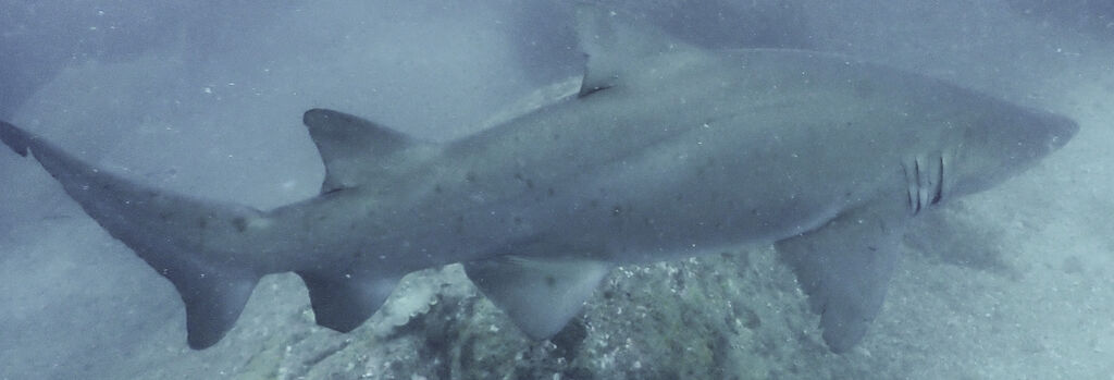 84804466-4284-48c0-b312-8518a84a5e4b