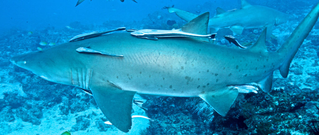 b608376c-746f-4a55-a240-b955b46b28bb