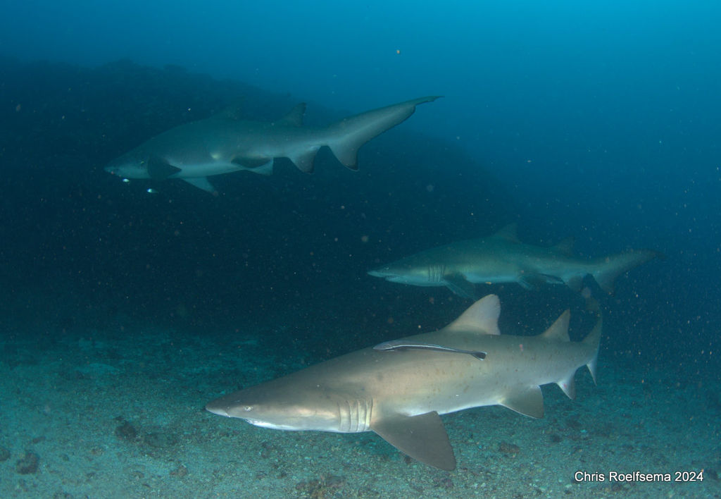 b680cf83-c21f-43f0-8ac2-c4660871f713