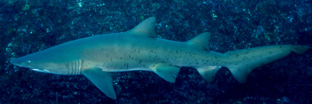 45307681-a139-4683-a51a-328d3c23dbaa