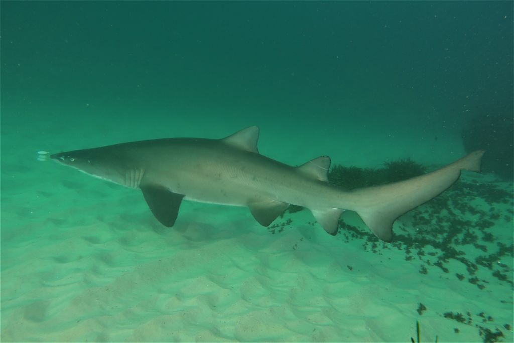 19649694-ed65-4798-b917-965097e16244