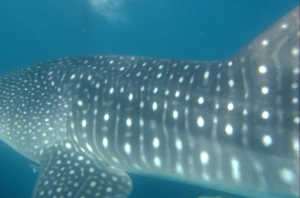 e58aa7f9-91f9-45ca-b9bf-4fedc026e944