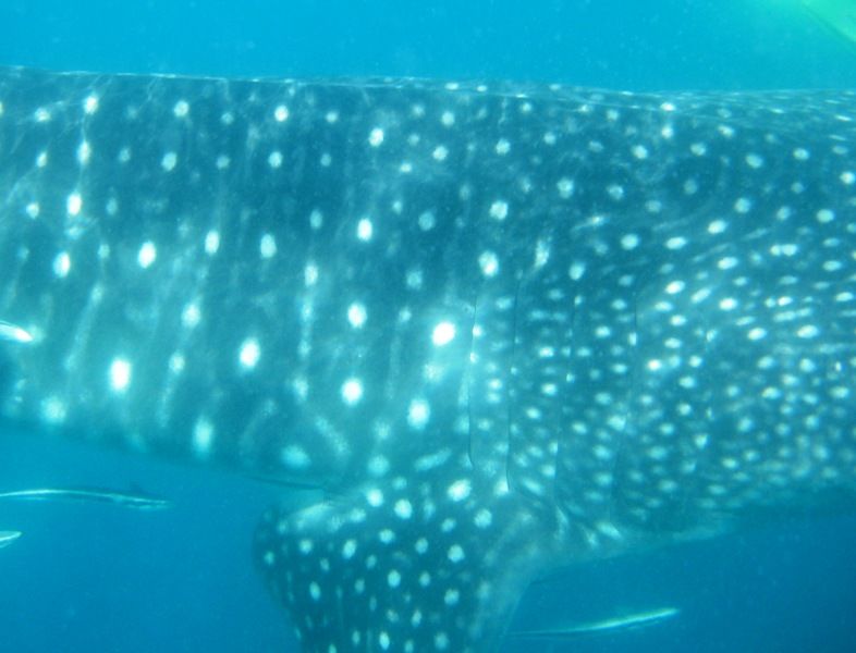 e58aa7f9-91f9-45ca-b9bf-4fedc026e944