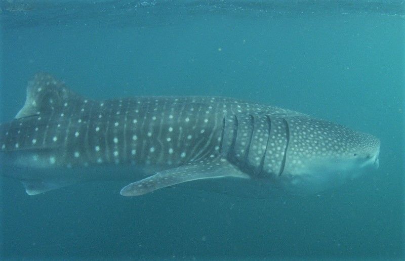 d273c4ca-c539-46fa-ad02-61af54aa3a71