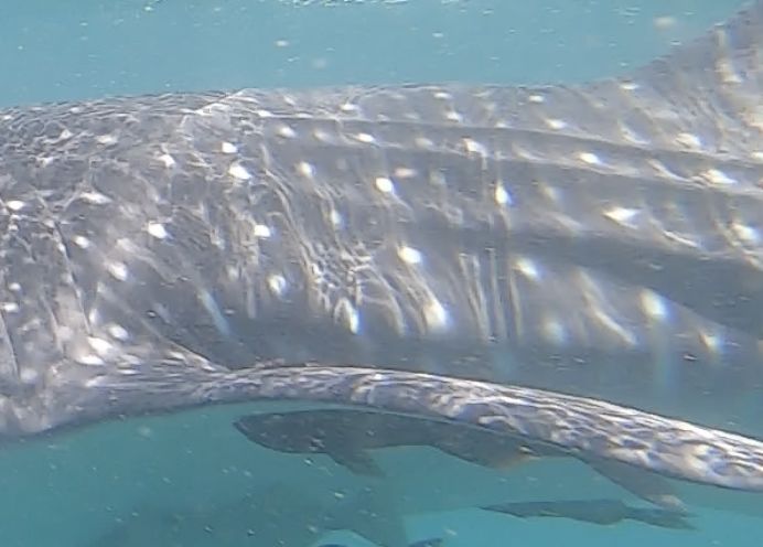 eb3901b9-d087-4ad6-816b-78d7348cbb20