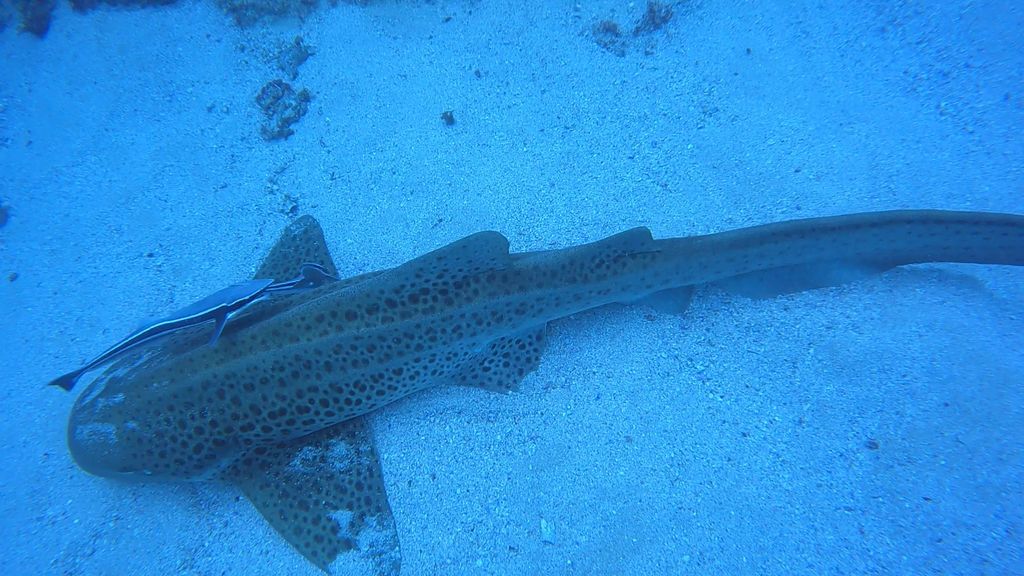 3581bedd-222a-4a3e-ae61-00c6344b8a29