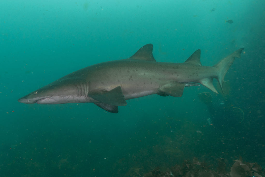 5e4aeee9-2e59-41d7-9d04-567618a14a43