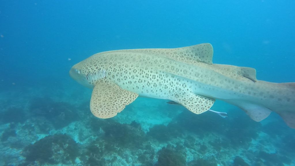 91d8c63d-643f-4e25-93c9-c8615568076d