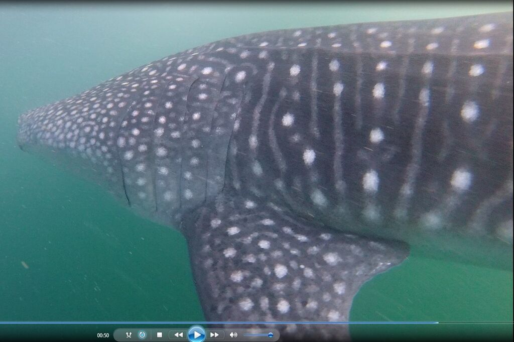 78260721-e1f8-45ee-9844-fc83d2af2370