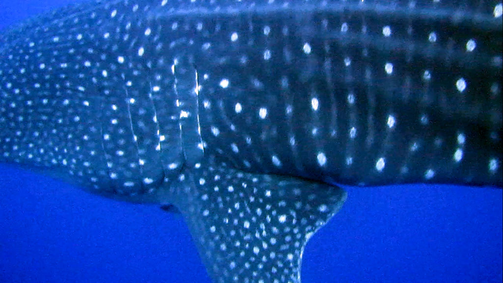 3bc2efb4-e633-4c27-841c-0e349c712469