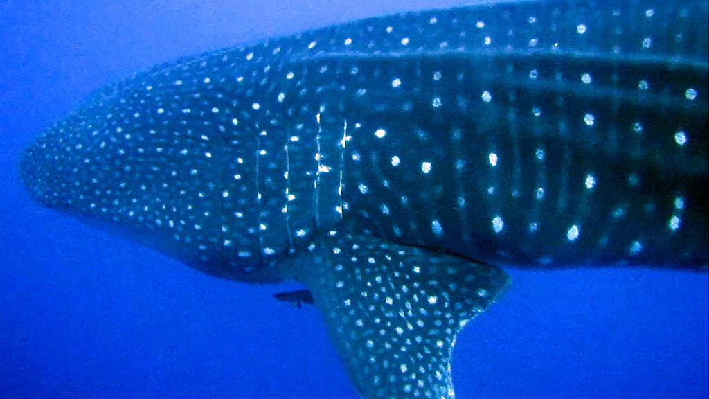 3bc2efb4-e633-4c27-841c-0e349c712469