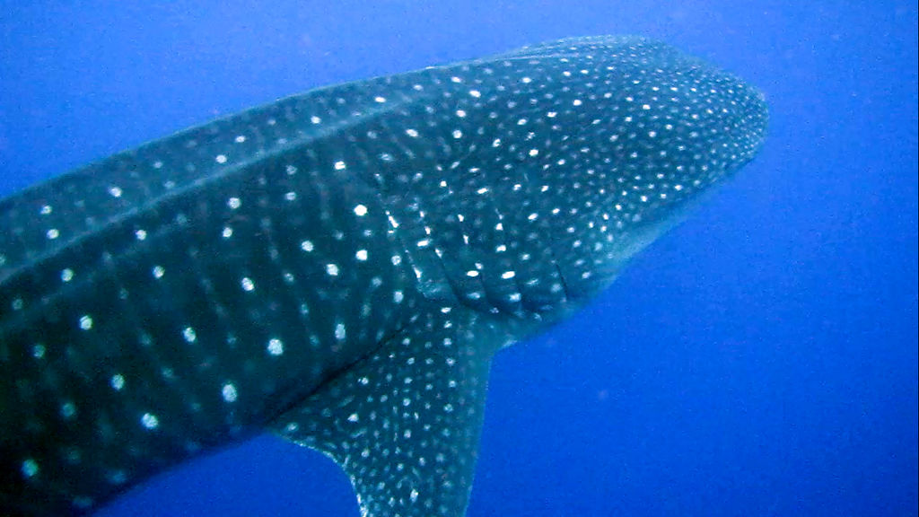 3bc2efb4-e633-4c27-841c-0e349c712469