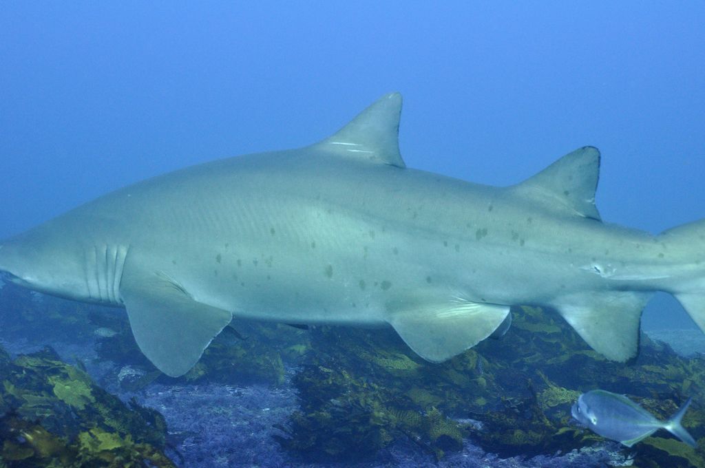 4a8054e3-15f8-4080-8b5d-3beba6099c05