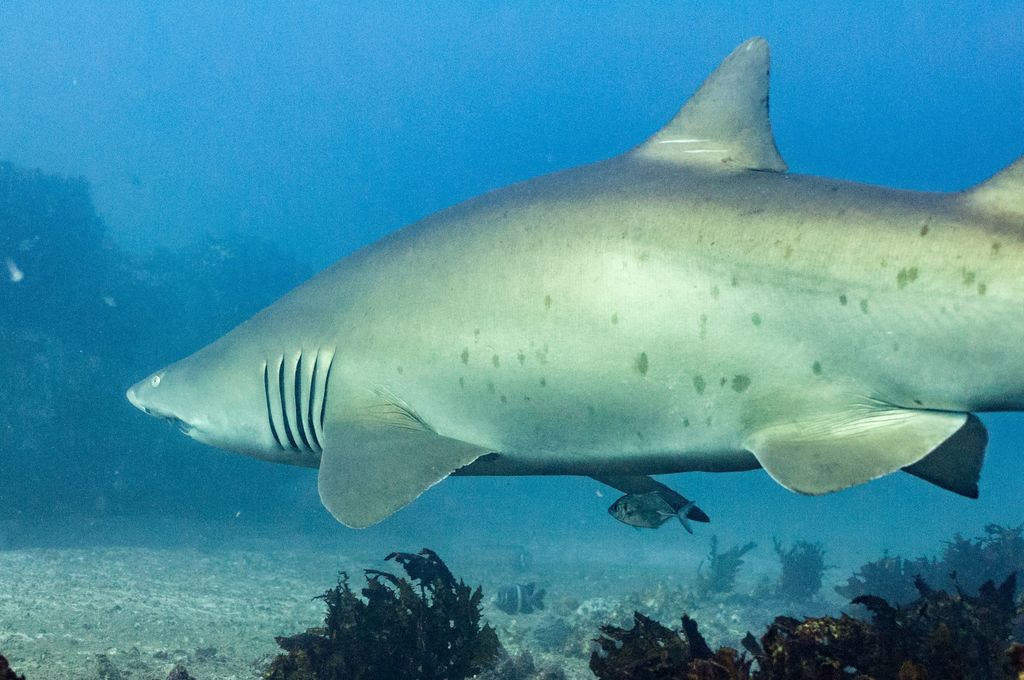 4a8054e3-15f8-4080-8b5d-3beba6099c05