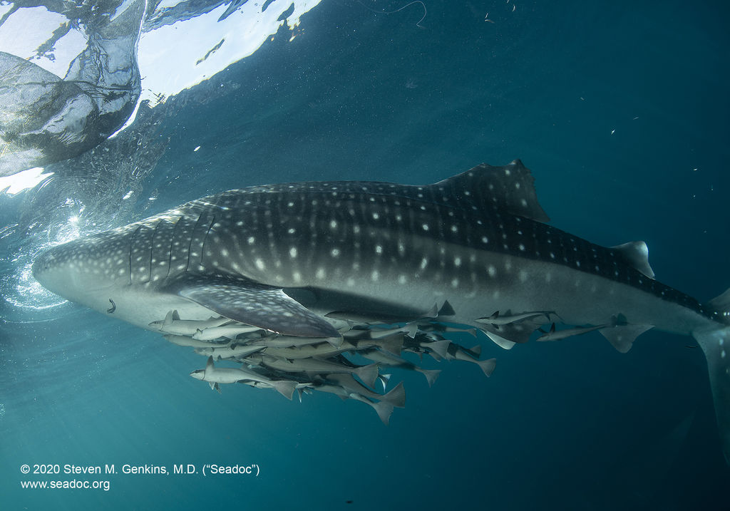 3cadba72-1f62-4ab2-bcf7-f9850053b903