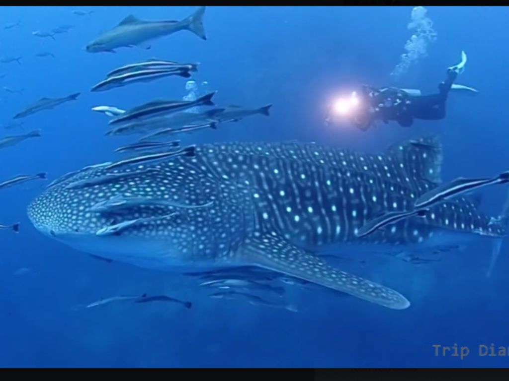 91d2f12a-e31c-4757-b503-a1f65e982207