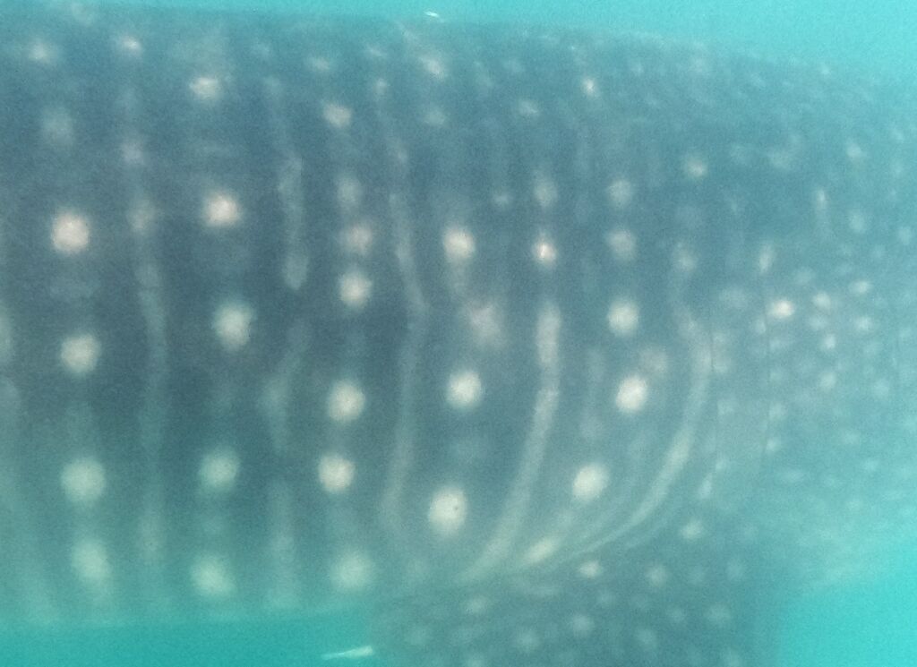 f14ca5a3-8451-421e-bd20-26cd4caa7f78