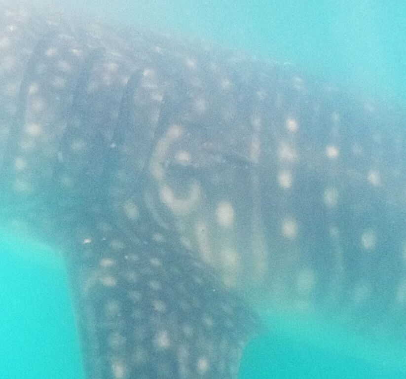 f14ca5a3-8451-421e-bd20-26cd4caa7f78