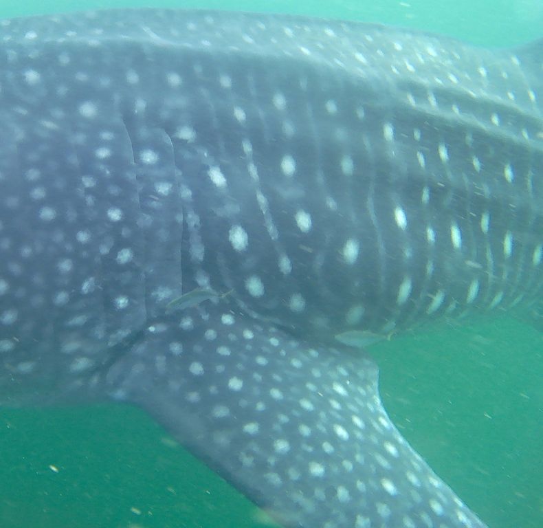 cbb6e20a-a2d7-4c0c-8f51-7bf6e00b6c8b