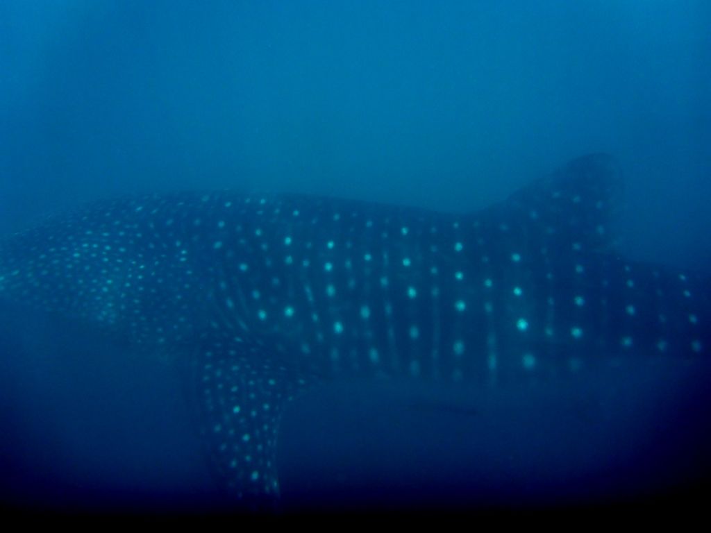 25b8fb8f-8652-4b8b-8697-ff22e0fdefb7