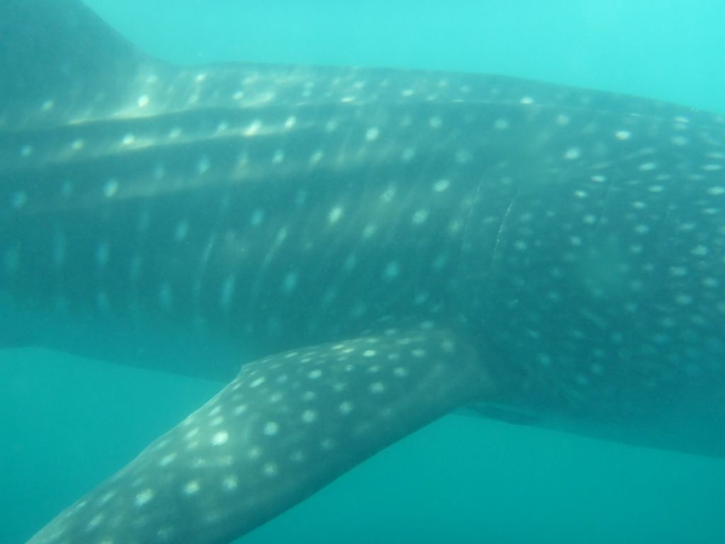 25b8fb8f-8652-4b8b-8697-ff22e0fdefb7