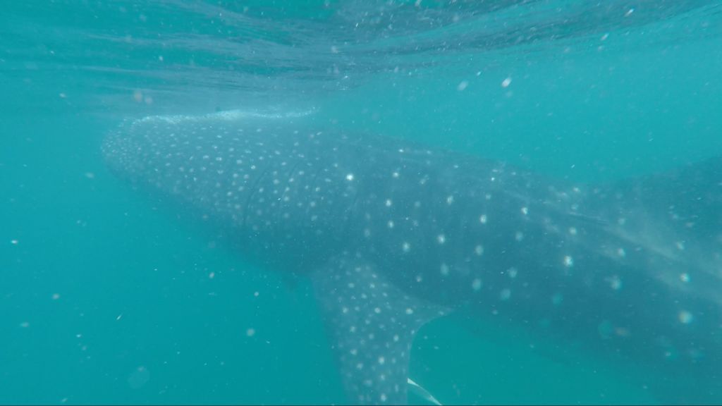 b832d7e0-a805-4e96-a12e-fc8a2cb1f669