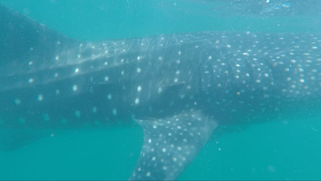 b832d7e0-a805-4e96-a12e-fc8a2cb1f669