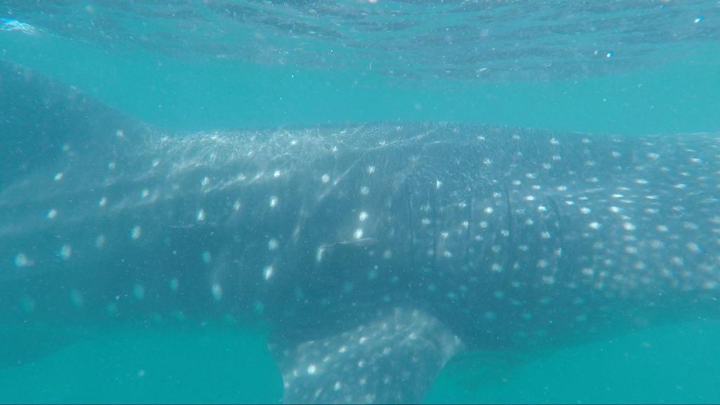 b832d7e0-a805-4e96-a12e-fc8a2cb1f669