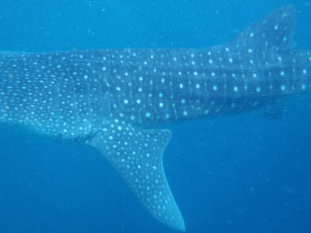 534520a1-6211-4498-b0a3-dfb56c177211