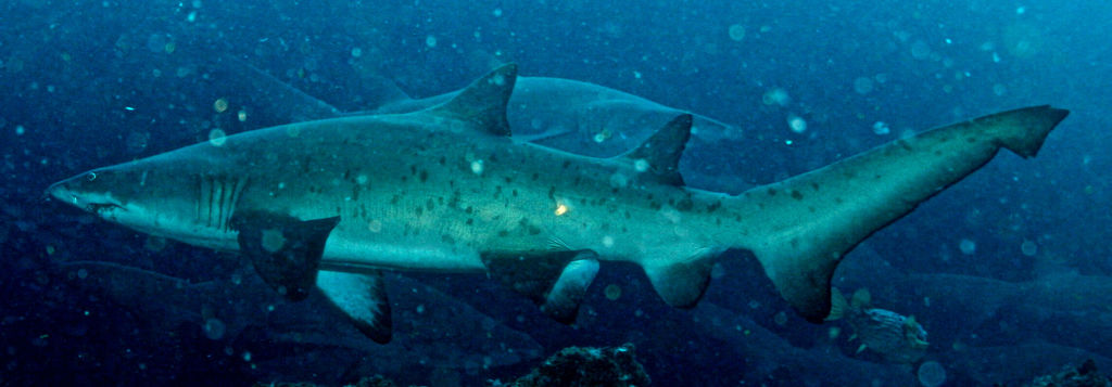 3ac1a178-97da-4639-872b-dfab4f3adee5