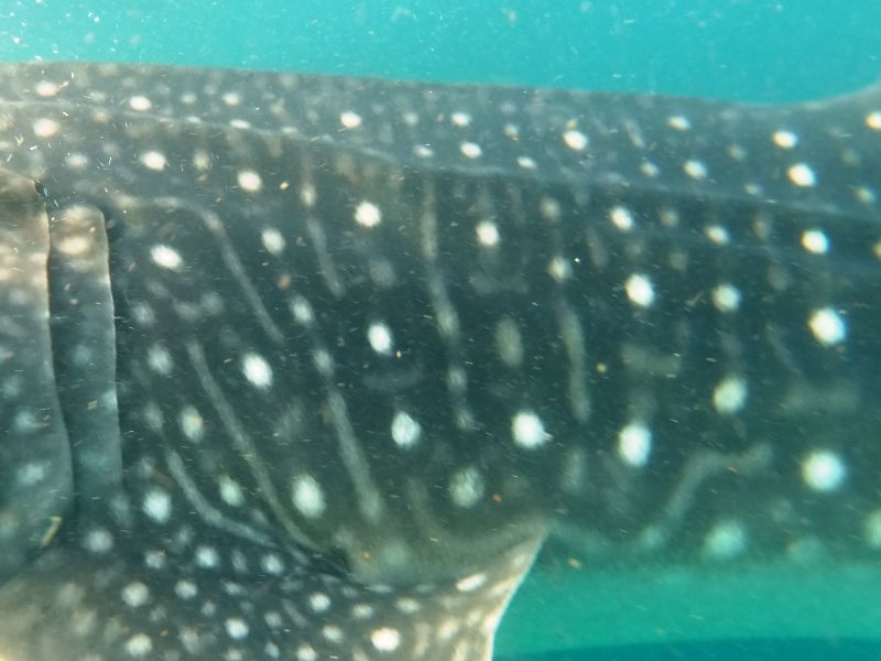 85f7cb64-73e3-4a5f-b135-4ed13c2f9f05