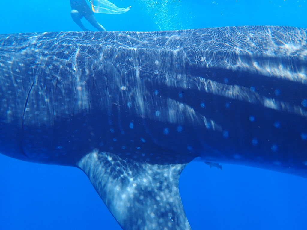 9f0df395-150d-438f-b7d4-2245927360fe