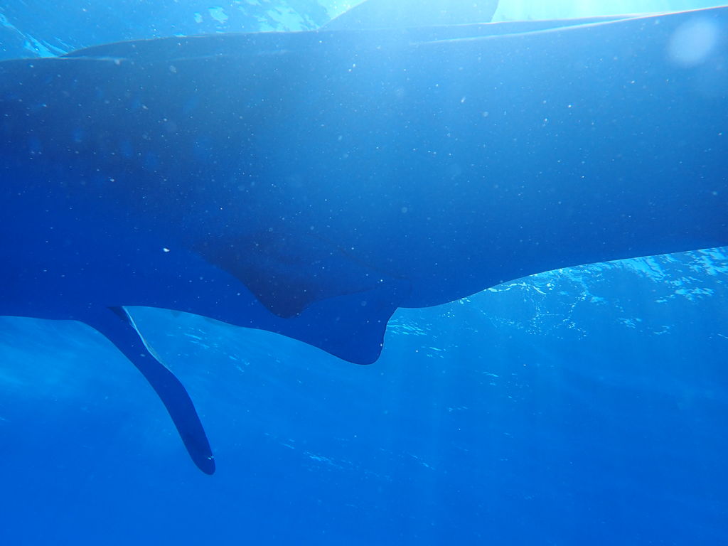 9f0df395-150d-438f-b7d4-2245927360fe