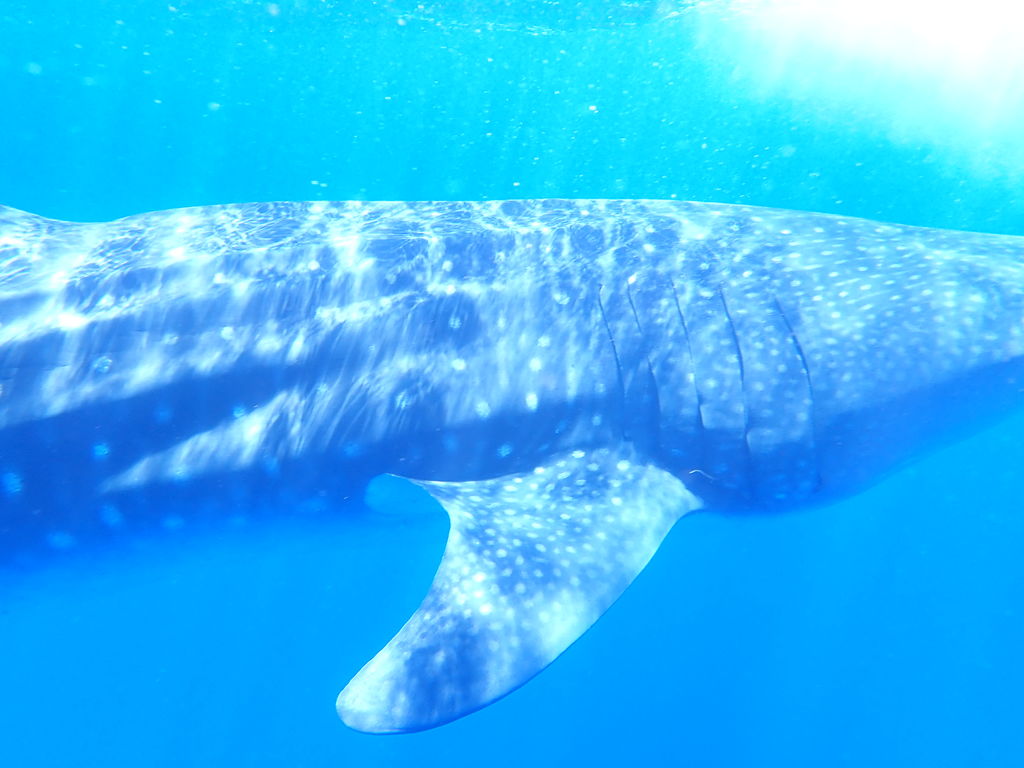 9f0df395-150d-438f-b7d4-2245927360fe