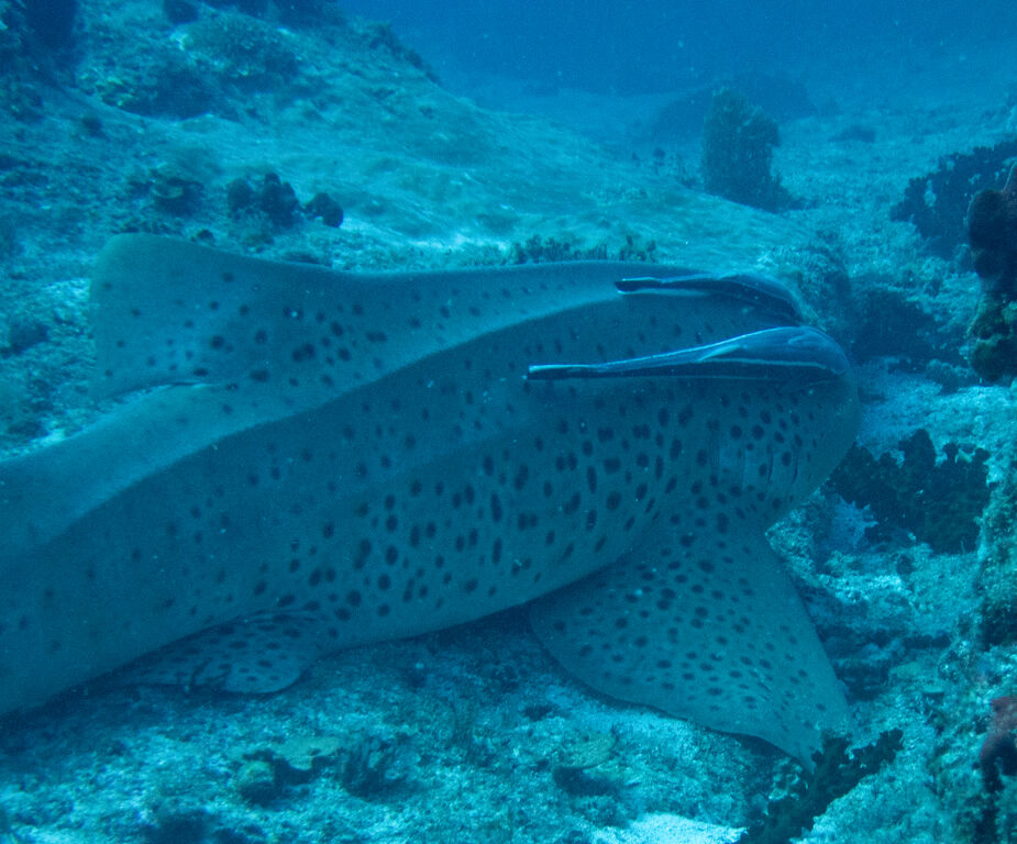 6185804c-ea5f-4d0d-9344-c2a944ca3f13