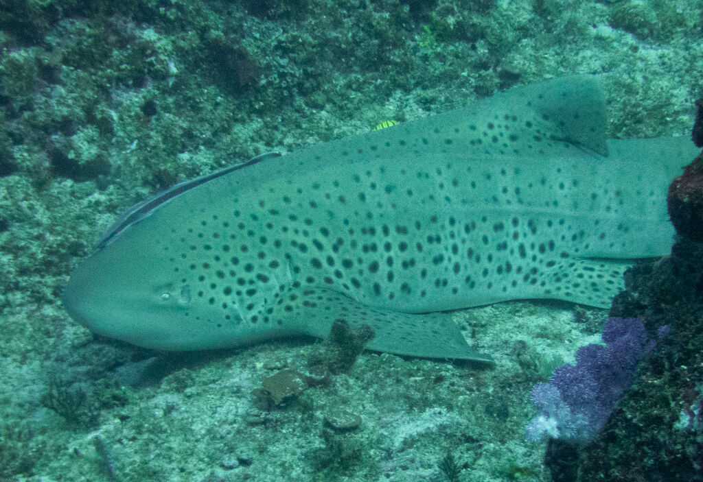 6185804c-ea5f-4d0d-9344-c2a944ca3f13