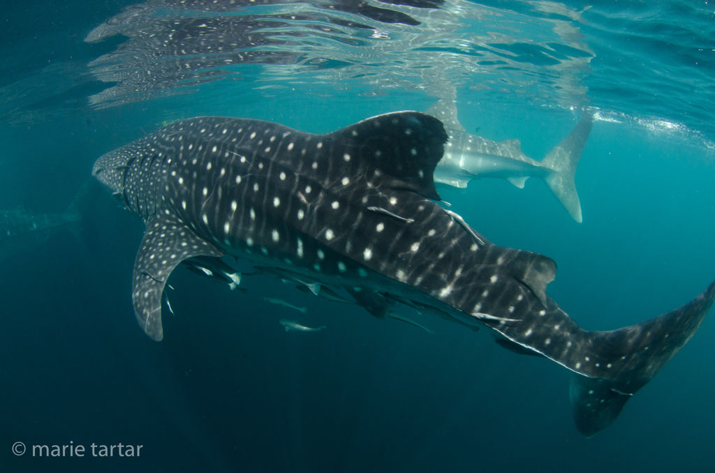 28df0d06-5c16-4389-8c1d-c725082796f0