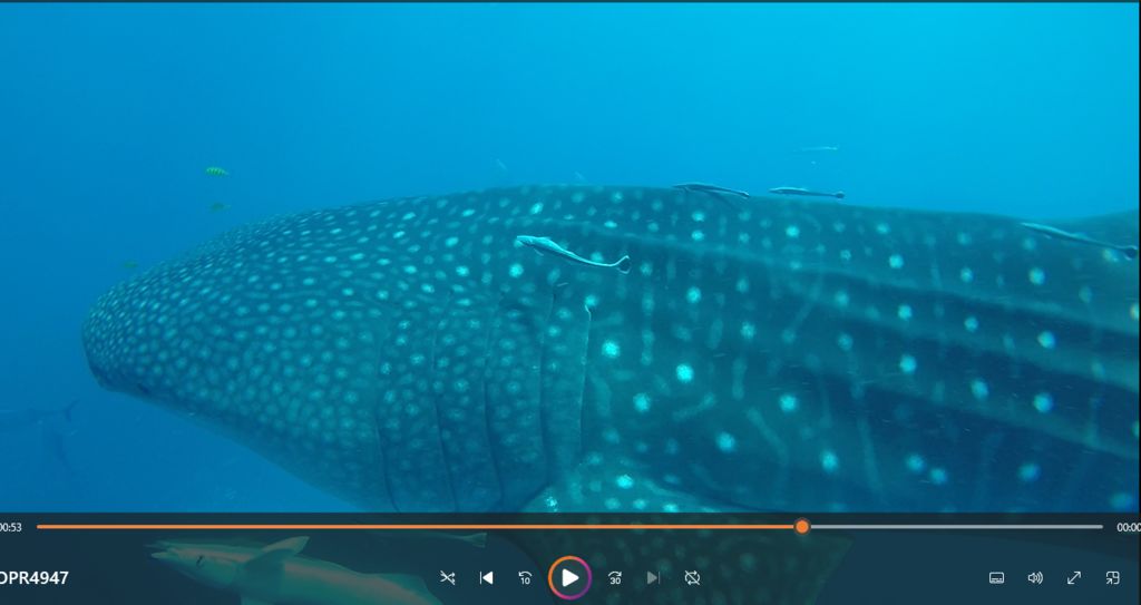 03eef449-52d7-49cc-bca0-9913abfdfd66