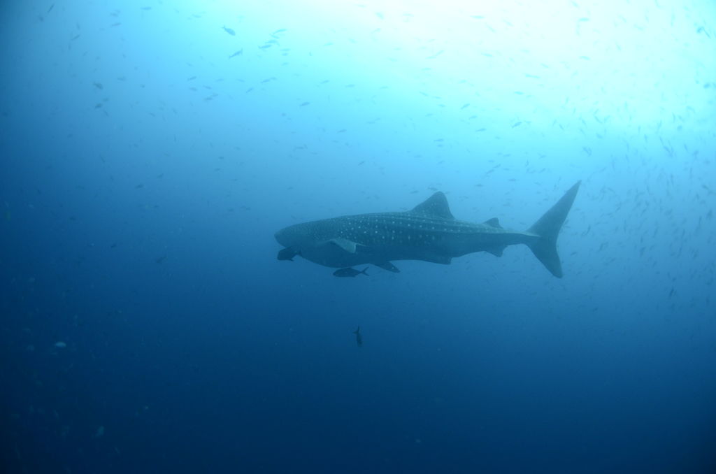 5035dcb9-b2bb-43a6-b9d9-5c179d5e5362