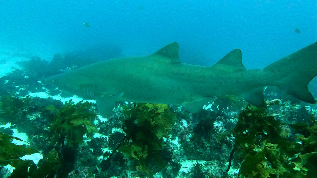 d394f46c-205e-4999-8e64-b6e94b75d4c9