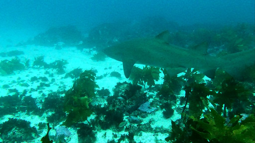 d394f46c-205e-4999-8e64-b6e94b75d4c9