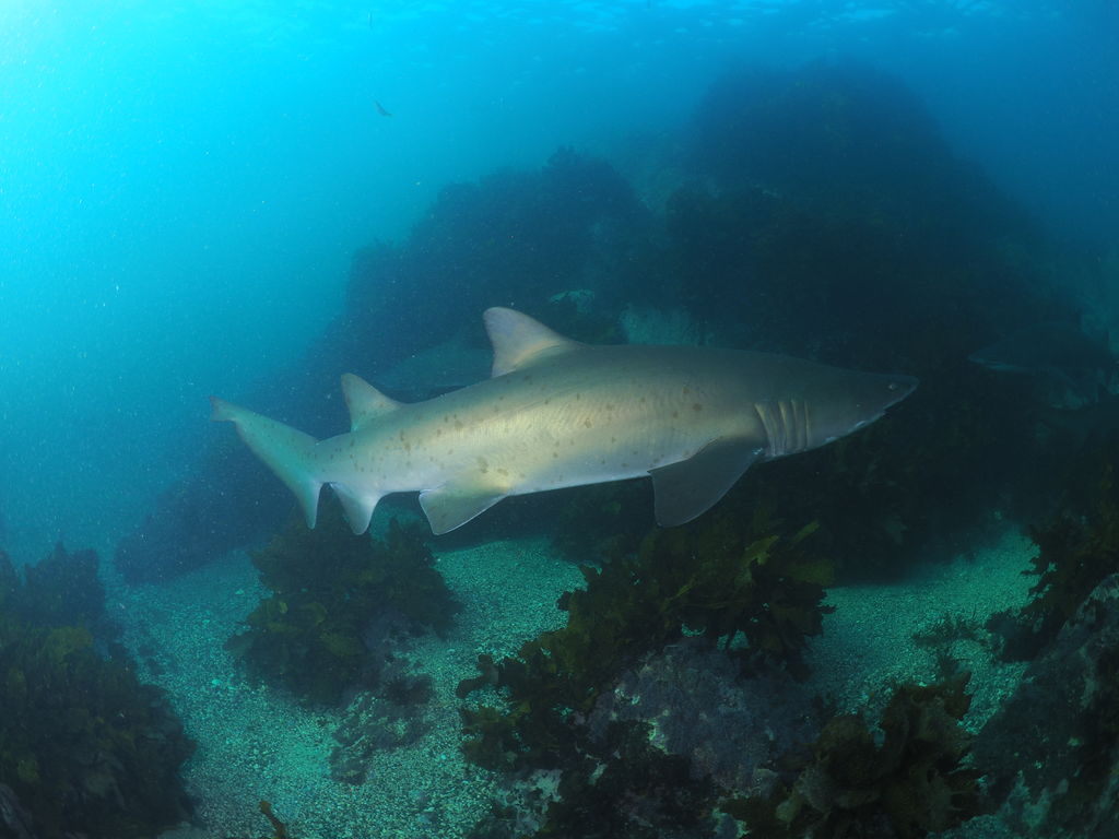 bda3b337-8779-4ef8-9426-505e5a5939ca